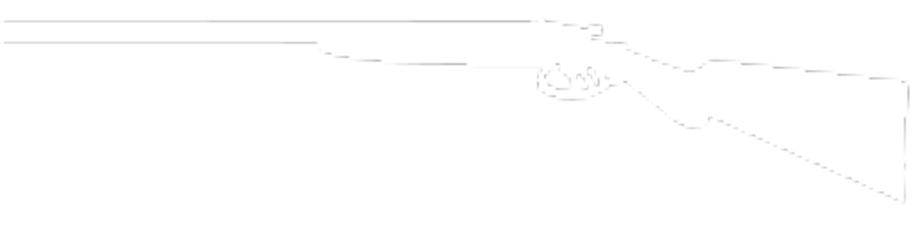 RemingtonModel1900.png RemingtonModel1900.png