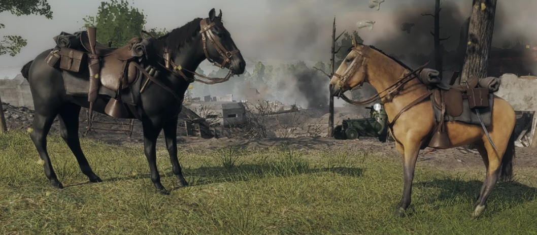 薄墨毛&スモーキーブラック.jpg 薄墨毛&スモーキーブラック.jpg